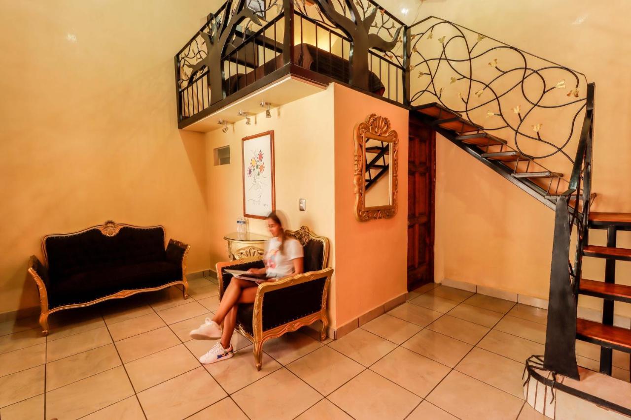 Hotel La Siesta Del Fauno Morelia Kültér fotó